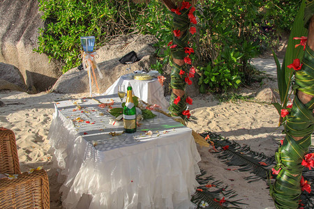 塞舌尔婚礼仪式沙滩上加一瓶香槟图片