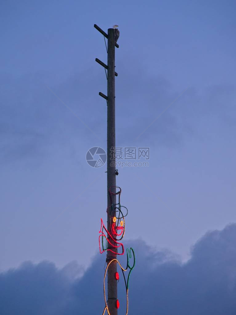 加拿大不列颠哥伦比亚省温哥华岛西德尼渔港圣诞灯上方的极杆图片