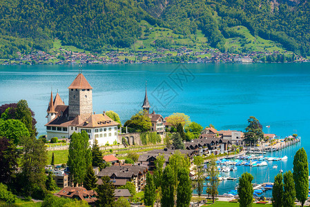 瑞士伯尔尼Thun湖的斯图片
