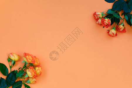 一束美丽鲜活的橙色玫瑰的背景图片