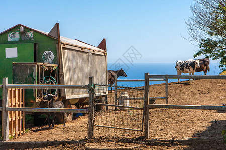 享有农场火车上的小屋和牛的景观图片