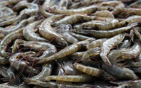 泰国市场鲜鱼和背景图片