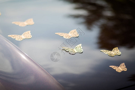 婚礼细节由蝴蝶制作的图片