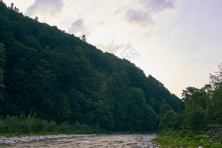 山河山峦自然绿色森林和淡的蓝天图片