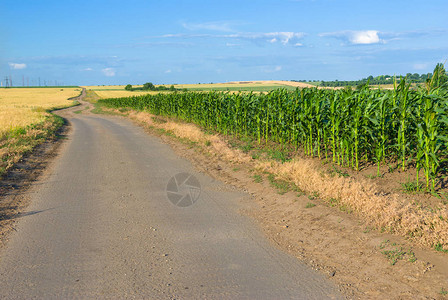 乌克兰田间公路图片