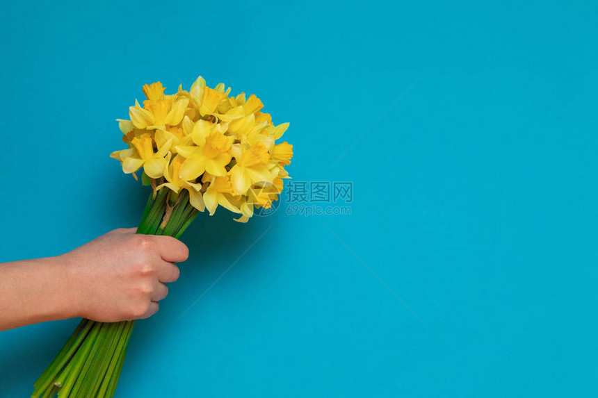 在蓝色背景和文字空间上女手中新鲜的黄图片