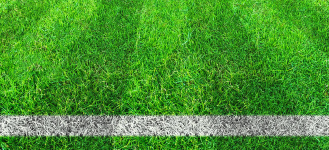 足球场绿色草地的足球线以绿草坪为背图片