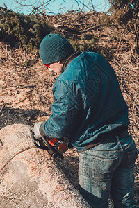 伐木者将灰木树从链锯切成木为2019年图片