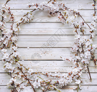 白色樱花环春天开花的杏树枝上的花朵圆形框架婚礼卡樱图片