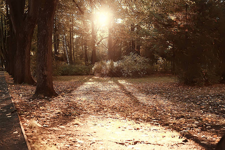 路径秋天公园秋天风景图片