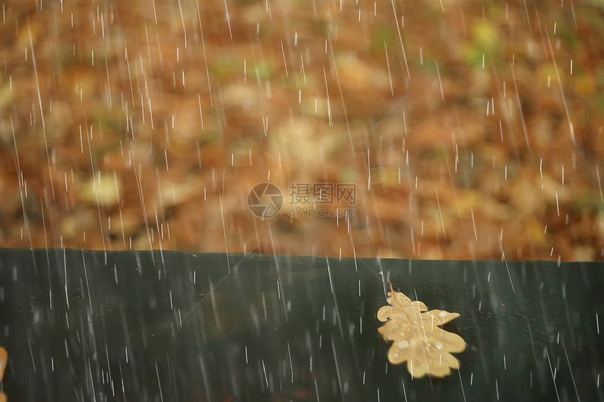 秋天的风景在雨天在一个城市公园图片