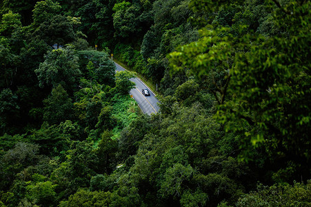 山路和绿色阿甘高景观图片