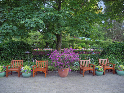 绿林的椅子在红绿地中间在公园里建背景图片