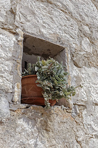 意大利西里乡村石农庄白墙花瓶图片