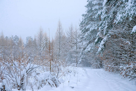 荒废的公路在寒冷的一天在雪地里高清图片