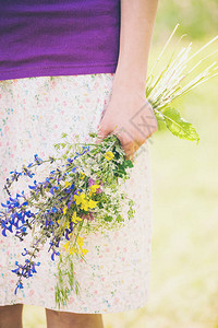 那个女孩拿着一束野花一个女人在草地上摘花鲜花的礼物夏草图片