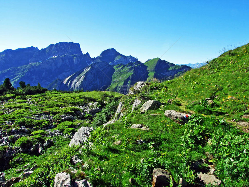 瑞士圣加仑州Alviergruppe山脉坡上的阿尔维格鲁普山脉和高图片