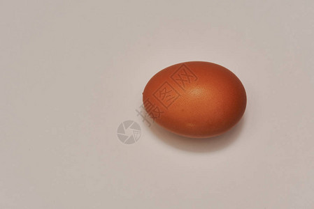 浅色背景中的棕色鸡蛋图片