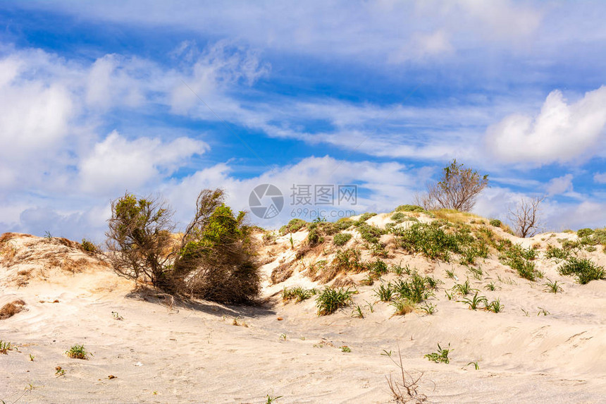 希腊克里特Elafonisi海滩沙丘图片