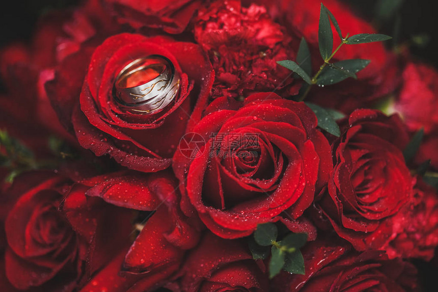 两枚金婚戒指在明红玫瑰背景下图片