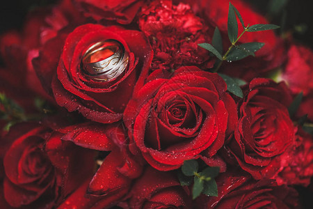 两枚金婚戒指在明红玫瑰背景下图片
