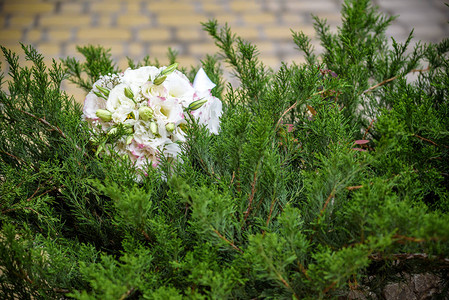 绿色树丛上的婚礼花束新的不同夏图片