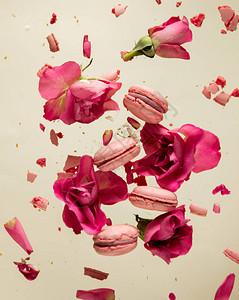 粉红宏和玫瑰花瓣以灰色背景图片