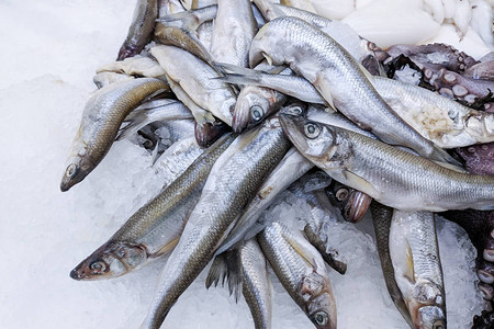 新鲜有机鱼在新鲜市场的冰上鲱鱼背景图片