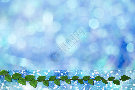 墨西哥菊花绿叶墨西哥山雀自然边界和蓝b图片