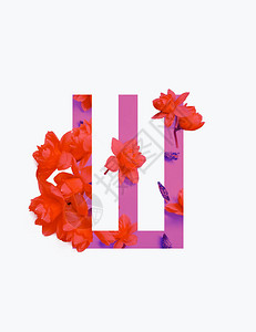 西里尔字母粉红背景的红水仙子图片