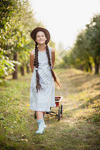 苹果园里拿着苹果的女孩美丽的女孩在果园吃有机苹果收获概念花园里图片