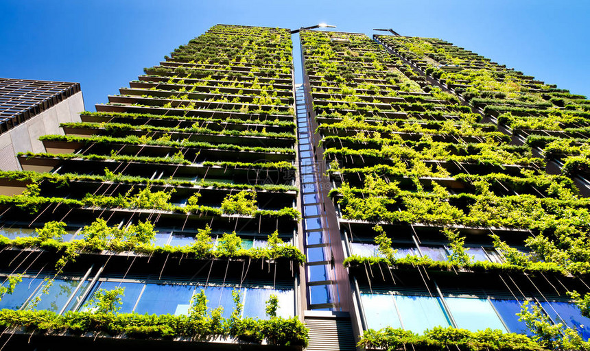 绿色摩天大楼建筑与在立面上生长的植物反对蓝天城市生态与绿色生活图片