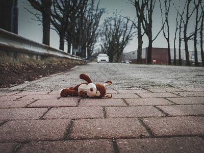 玩具狗躺在路边近视线上图片