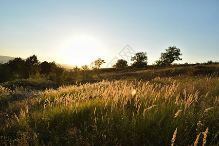 夕阳下的草原图片