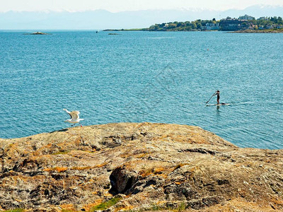 在加拿大温哥华岛维多利亚不列颠哥伦比亚的牛角附近的一个水图片