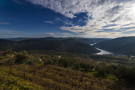 葡萄牙Pinhao村的景色和梯田葡萄园和杜罗河高清图片