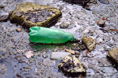 池塘中的塑料瓶和其他碎片环境污染和图片