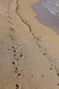 地中海沿岸沙滩上的脚背景图片
