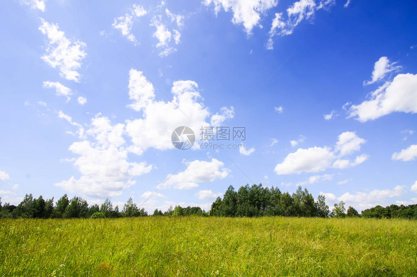 风景以绿地森林和蓝天空为景观图片