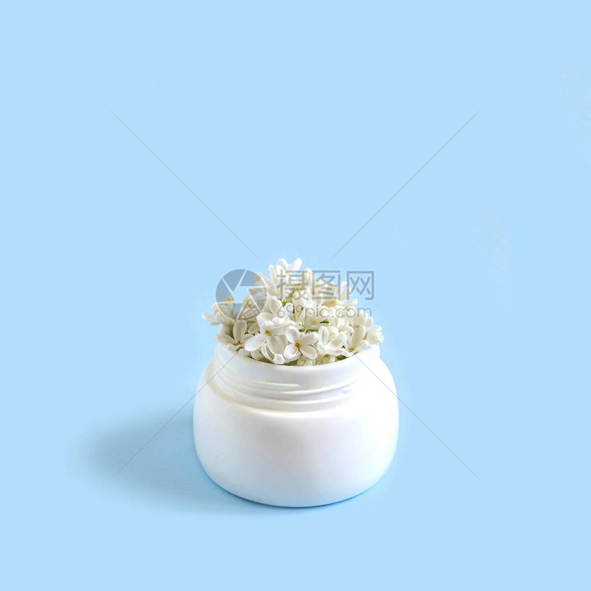 用白色丁香花作为淡蓝色背景上的化妆品霜的罐子极简风格创意想象力和幻想天然图片