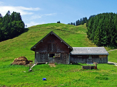 山脉坡上的乡村传统建筑和牲畜农场图片
