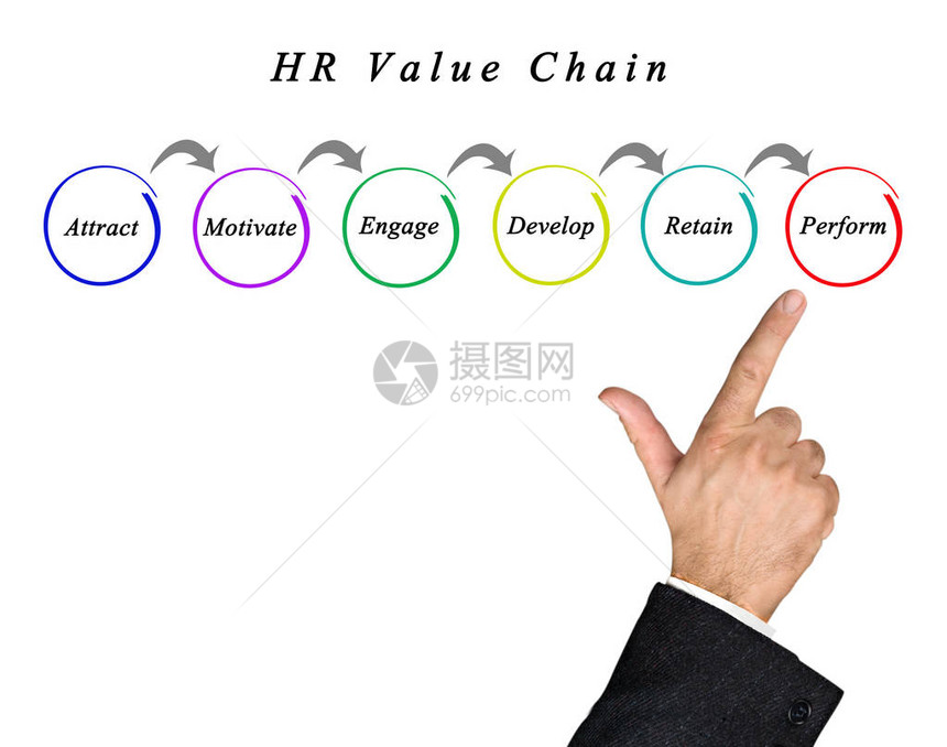 人力资源价值链展示HR图片