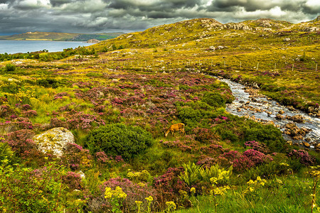 苏格兰与女和山区河流的相景沿海风景Scot图片