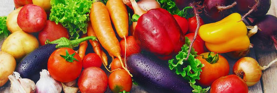 不同的生物蔬菜选择焦点高清图片