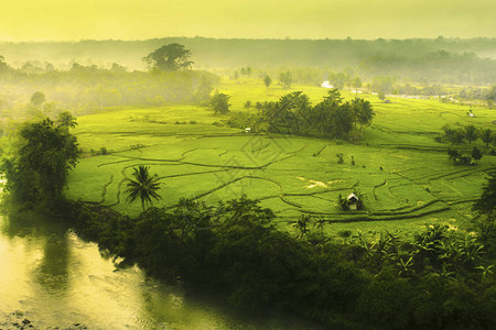 亚洲旅游中的美丽自然河迷雾森林图片