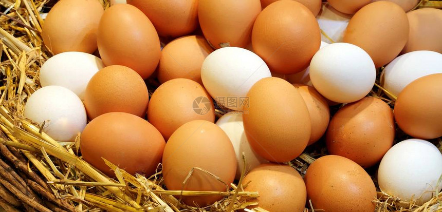 刚从农场的鸡舍里收集到的新鲜鸡蛋图片