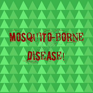 概念含义疾病引起的寄生虫由蚊子传播的绿色三角形排列成行图片