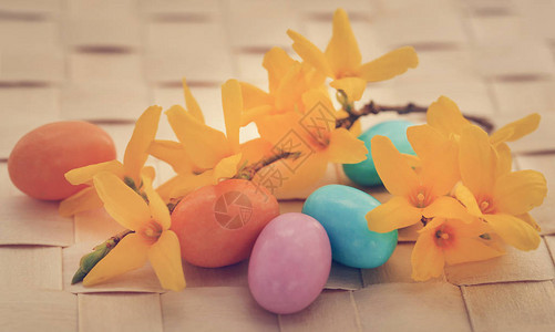 复活节鸡蛋质表面有春图片