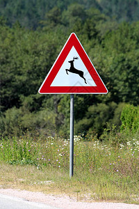 鹿过马路警告路标警告鹿经常在柏油路旁的道路上穿越或行驶图片