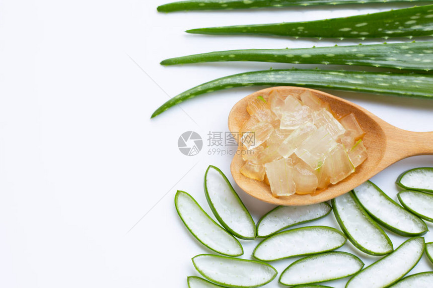 Aloevera是一家受人欢迎的药用植物用于健康和美貌图片